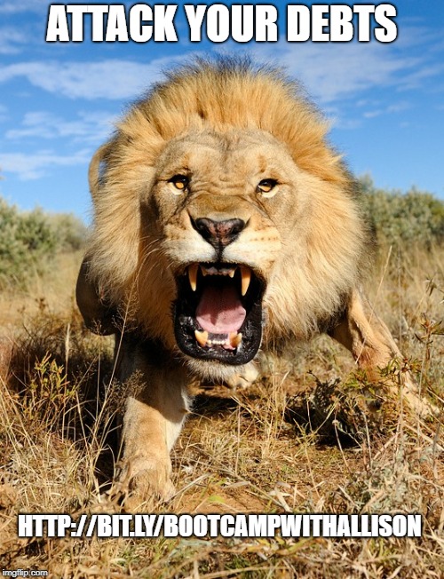 Lion attacking | ATTACK YOUR DEBTS; HTTP://BIT.LY/BOOTCAMPWITHALLISON | image tagged in lion attacking | made w/ Imgflip meme maker