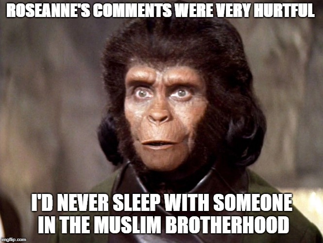 ROSEANNE'S COMMENTS WERE VERY HURTFUL; I'D NEVER SLEEP WITH SOMEONE IN THE MUSLIM BROTHERHOOD | image tagged in planet of the apes | made w/ Imgflip meme maker