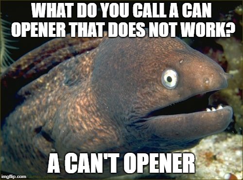 Bad Joke Eel Meme | WHAT DO YOU CALL A CAN OPENER THAT DOES NOT WORK? A CAN'T OPENER | image tagged in memes,bad joke eel | made w/ Imgflip meme maker