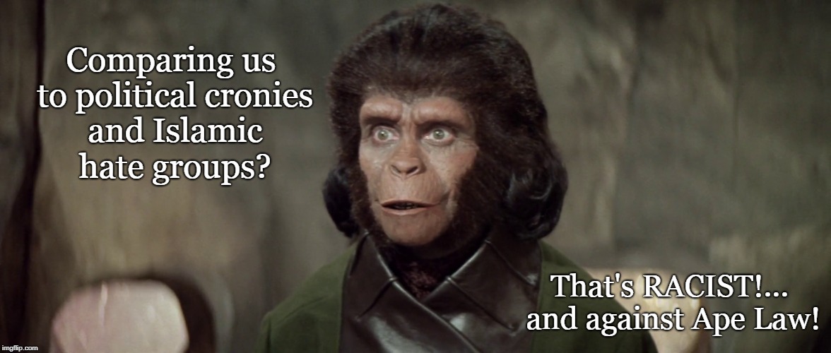 Insulting the Apes | Comparing us to political cronies and Islamic hate groups? That's RACIST!... and against Ape Law! | image tagged in planet of the apes,roseanne,conservatives,funny,donald trump | made w/ Imgflip meme maker