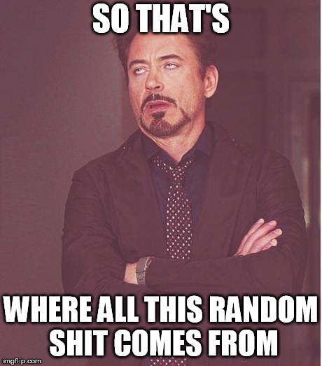 Face You Make Robert Downey Jr Meme | SO THAT'S WHERE ALL THIS RANDOM SHIT COMES FROM | image tagged in memes,face you make robert downey jr | made w/ Imgflip meme maker