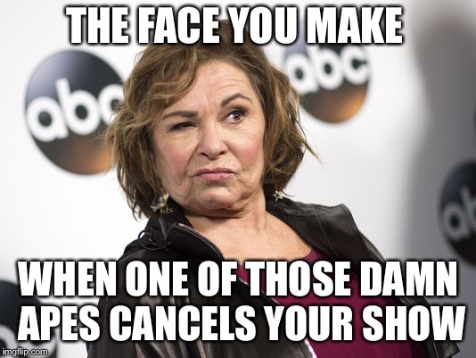 roseanne barr | THE FACE YOU MAKE; WHEN ONE OF THOSE DAMN APES CANCELS YOUR SHOW | image tagged in roseanne barr,funny,memes | made w/ Imgflip meme maker
