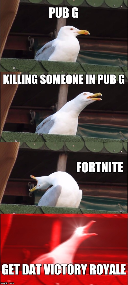 Inhaling Seagull | PUB G; KILLING SOMEONE IN PUB G; FORTNITE; GET DAT VICTORY ROYALE | image tagged in memes,inhaling seagull,pub g,fortnite,funny | made w/ Imgflip meme maker