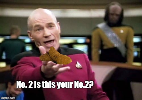 Picard Wtf Meme | No. 2 is this your No.2? | image tagged in memes,picard wtf | made w/ Imgflip meme maker