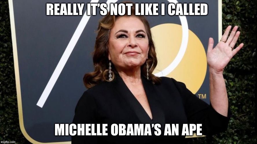 roseanne barr | REALLY IT’S NOT LIKE I CALLED; MICHELLE OBAMA’S AN APE | image tagged in roseanne barr,funny,memes | made w/ Imgflip meme maker