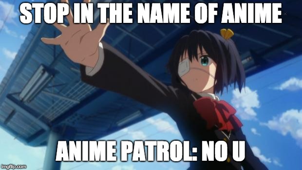 Stop in the name of Anime | STOP IN THE NAME OF ANIME; ANIME PATROL: NO U | image tagged in stop in the name of anime | made w/ Imgflip meme maker