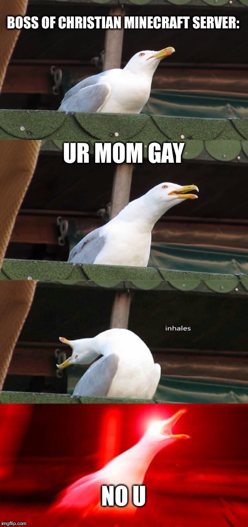 No u seagull | BOSS OF CHRISTIAN MINECRAFT SERVER:; UR MOM GAY; NO U | image tagged in inhaling seagull 4 red | made w/ Imgflip meme maker
