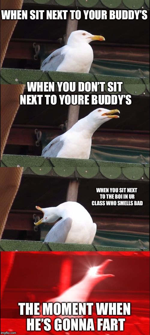 bad smelling boii | WHEN SIT NEXT TO YOUR BUDDY’S; WHEN YOU DON’T SIT NEXT TO YOURE BUDDY’S; WHEN YOU SIT NEXT TO THE BOI IN UR CLASS WHO SMELLS BAD; THE MOMENT WHEN HE’S GONNA FART | image tagged in seagull,bad smell,filip,class,cats,meme | made w/ Imgflip meme maker