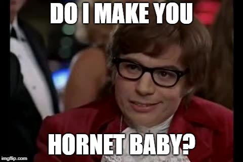 Austin Powers | DO I MAKE YOU; HORNET BABY? | image tagged in austin powers | made w/ Imgflip meme maker