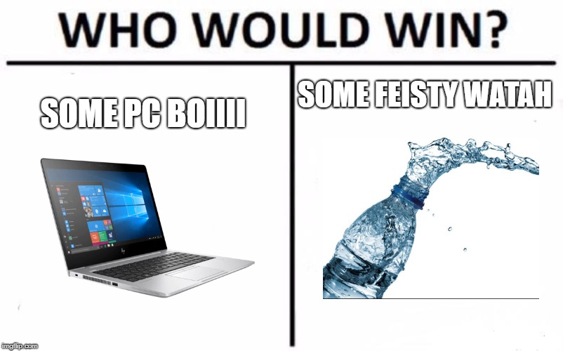 Who Would Win? Meme | SOME FEISTY WATAH; SOME PC BOIIII | image tagged in memes,who would win | made w/ Imgflip meme maker