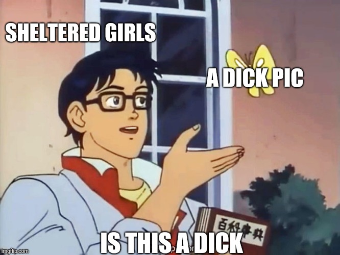 ANIME BUTTERFLY MEME | SHELTERED GIRLS; A DICK PIC; IS THIS A DICK | image tagged in anime butterfly meme | made w/ Imgflip meme maker