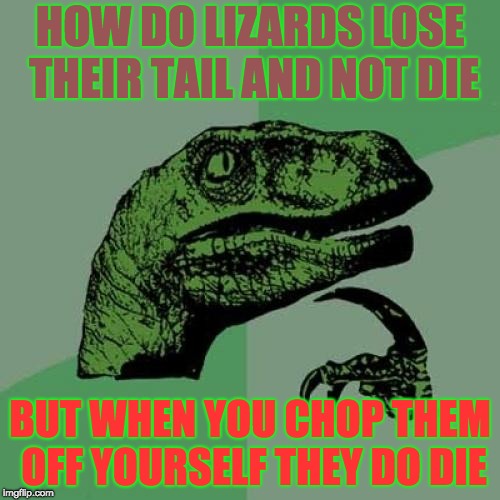 Philosoraptor Meme | HOW DO LIZARDS LOSE THEIR TAIL AND NOT DIE; BUT WHEN YOU CHOP THEM OFF YOURSELF THEY DO DIE | image tagged in memes,philosoraptor | made w/ Imgflip meme maker