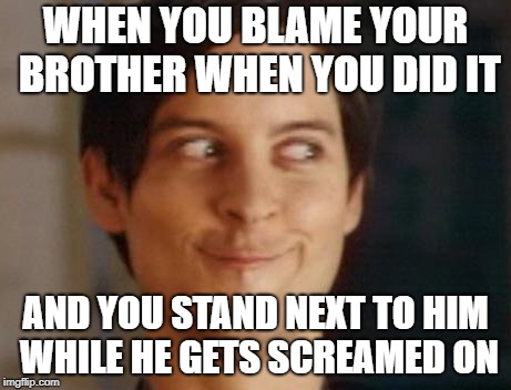 Spiderman Peter Parker Meme | WHEN YOU BLAME YOUR BROTHER WHEN YOU DID IT; AND YOU STAND NEXT TO HIM WHILE HE GETS SCREAMED ON | image tagged in memes,spiderman peter parker | made w/ Imgflip meme maker