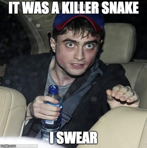 harry potter crazy | IT WAS A KILLER SNAKE; I SWEAR | image tagged in harry potter crazy | made w/ Imgflip meme maker