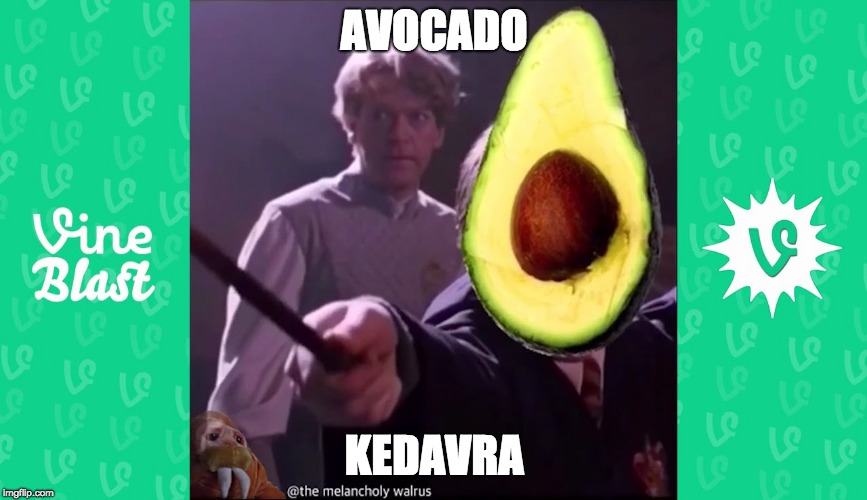 Harry Potter funny | AVOCADO; KEDAVRA | image tagged in harry potter funny | made w/ Imgflip meme maker