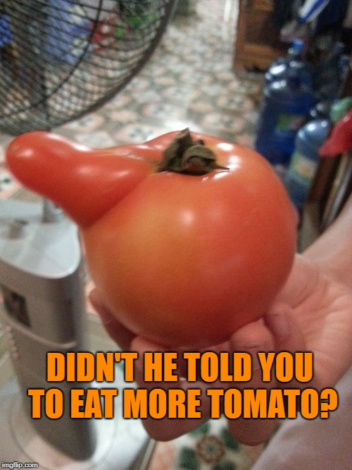 Hailing tomato | DIDN'T HE TOLD YOU TO EAT MORE TOMATO? | image tagged in hailing tomato | made w/ Imgflip meme maker
