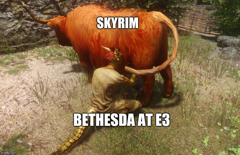 SKYRIM; BETHESDA AT E3 | image tagged in gaming | made w/ Imgflip meme maker