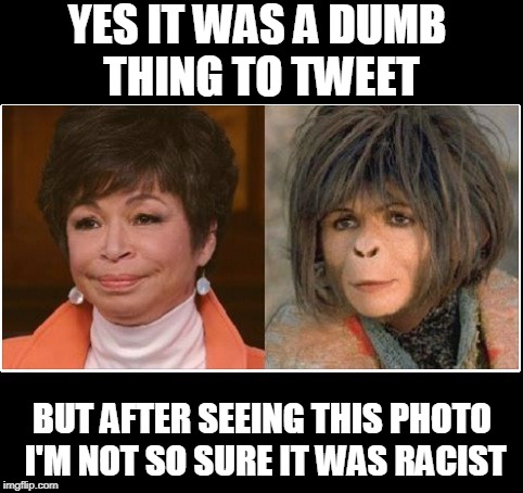 Planet of the Apes | YES IT WAS A DUMB THING TO TWEET; BUT AFTER SEEING THIS PHOTO I'M NOT SO SURE IT WAS RACIST | image tagged in roseanne | made w/ Imgflip meme maker