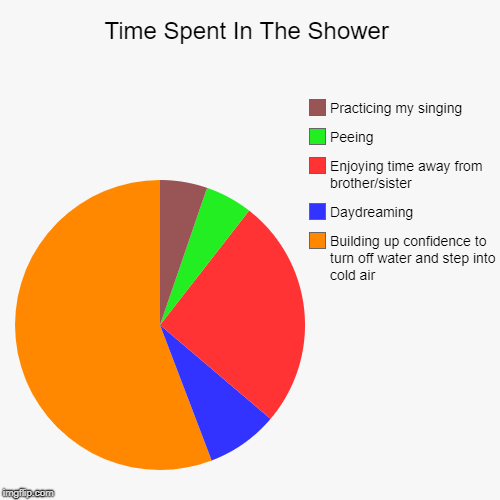 Time Spent In The Shower | Building up confidence to turn off water and step into cold air, Daydreaming, Enjoying time away from brother/sis | image tagged in funny,pie charts | made w/ Imgflip chart maker