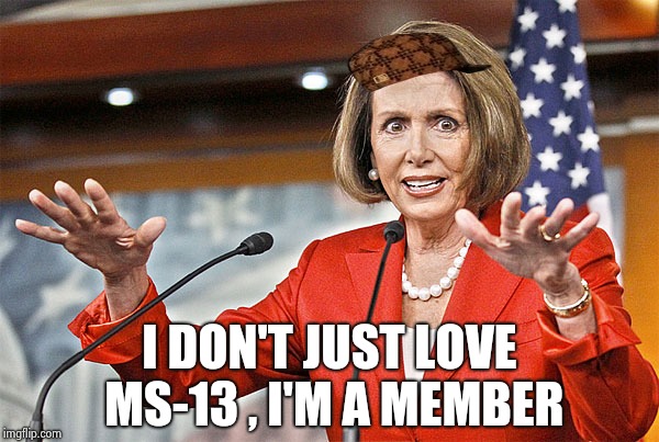So senile even she doesn't know what she's saying anymore | I DON'T JUST LOVE MS-13 , I'M A MEMBER | image tagged in nancy pelosi is crazy,scumbag,gangsta,murder,book of idiots,alright gentlemen | made w/ Imgflip meme maker
