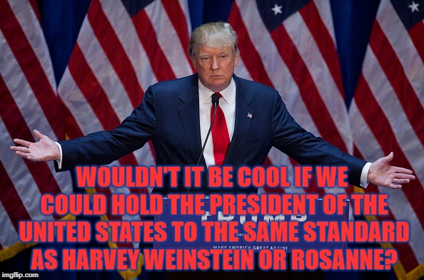 Donald Trump | WOULDN'T IT BE COOL IF WE COULD HOLD THE PRESIDENT OF THE UNITED STATES TO THE SAME STANDARD AS HARVEY WEINSTEIN OR ROSANNE? | image tagged in donald trump,rosanne barr,harvey weinstein,funny,memes,funny memes | made w/ Imgflip meme maker