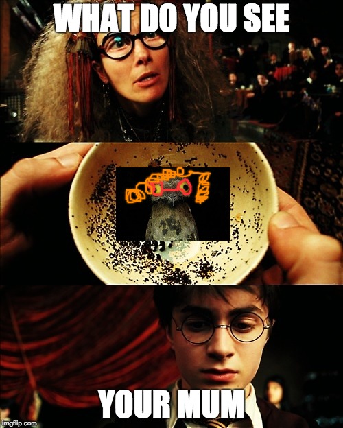 harry potter | WHAT DO YOU SEE; YOUR MUM | image tagged in harry potter | made w/ Imgflip meme maker