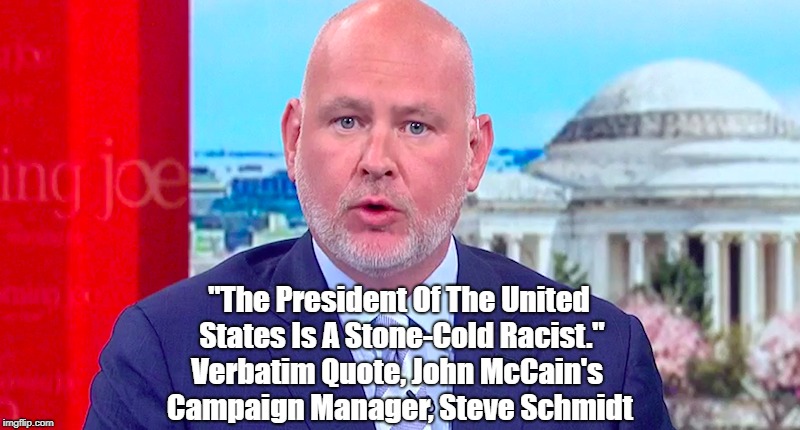 "The President Of The United States Is A Stone-Cold Racist," John McCain's Campaign Manager, Steve Schmidt | "The President Of The United States Is A Stone-Cold Racist." Verbatim Quote, John McCain's Campaign Manager, Steve Schmidt | image tagged in deplorable donald,despicable donald,detestable donald,devious donald,dishonorable donald,dishonest donald | made w/ Imgflip meme maker