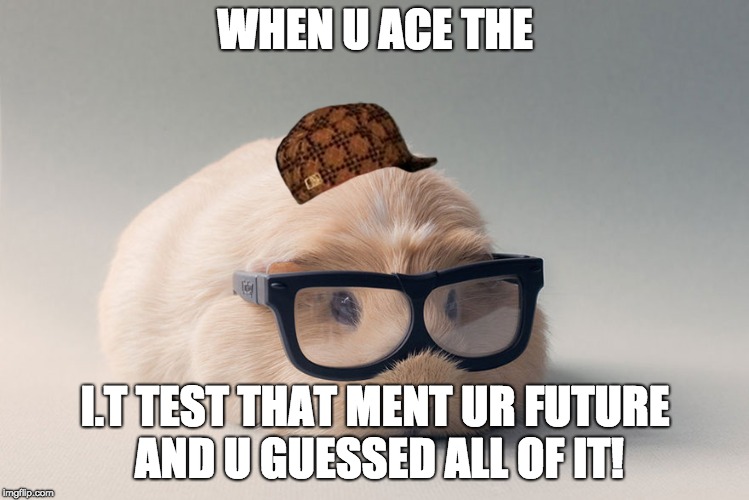Guinea Pig! | WHEN U ACE THE; I.T TEST THAT MENT UR FUTURE AND U GUESSED ALL OF IT! | image tagged in guinea pig,scumbag | made w/ Imgflip meme maker