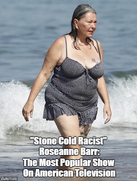 "Stone Cold Racist" Roseanne Barr: The Most Popular Show On American Television | made w/ Imgflip meme maker