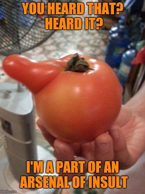 Hailing tomato | YOU HEARD THAT? HEARD IT? I'M A PART OF AN ARSENAL OF INSULT | image tagged in hailing tomato | made w/ Imgflip meme maker