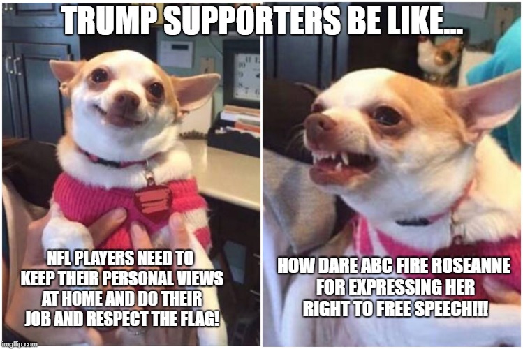 Happy chihuahua angry chihuahua  | TRUMP SUPPORTERS BE LIKE... HOW DARE ABC FIRE ROSEANNE FOR EXPRESSING HER RIGHT TO FREE SPEECH!!! NFL PLAYERS NEED TO KEEP THEIR PERSONAL VIEWS AT HOME AND DO THEIR JOB AND RESPECT THE FLAG! | image tagged in happy chihuahua angry chihuahua | made w/ Imgflip meme maker