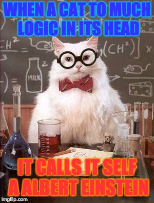 Science Cat Good Day | WHEN A CAT TO MUCH LOGIC IN ITS HEAD; IT CALLS IT SELF A ALBERT EINSTEIN | image tagged in science cat good day | made w/ Imgflip meme maker