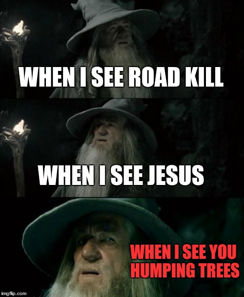 Confused Gandalf Meme | WHEN I SEE ROAD KILL; WHEN I SEE JESUS; WHEN I SEE YOU HUMPING TREES | image tagged in memes,confused gandalf | made w/ Imgflip meme maker