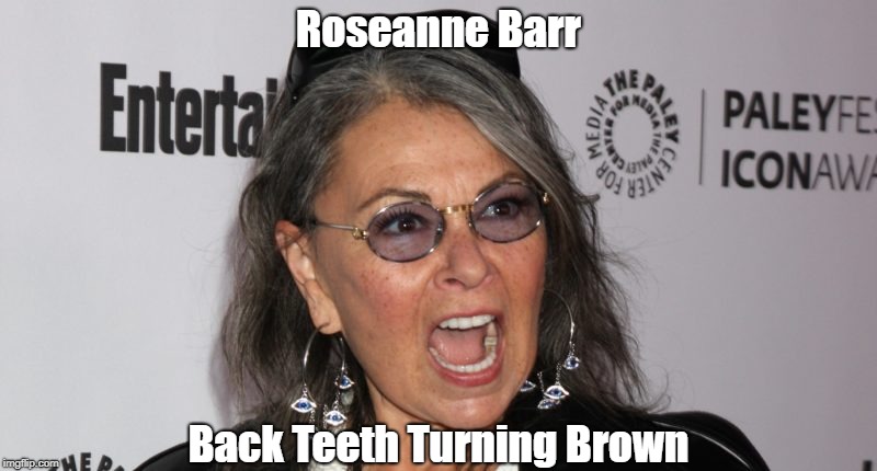 Roseanne Barr: "Back Teeth Turning Brown" | Roseanne Barr; Back Teeth Turning Brown | image tagged in racist,bigot,white privilege,roseanne,bigotry,racism | made w/ Imgflip meme maker