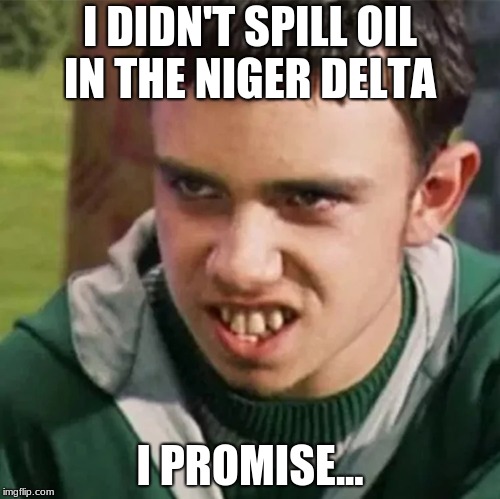 I DIDN'T SPILL OIL IN THE NIGER DELTA; I PROMISE... | image tagged in harry potter meme | made w/ Imgflip meme maker