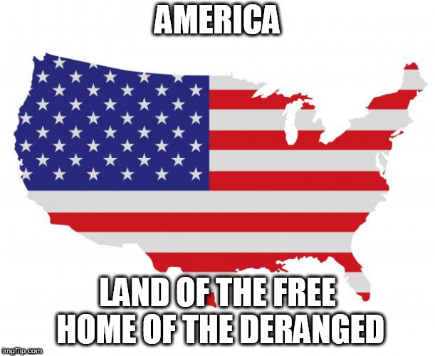 Scumbag America | AMERICA; LAND OF THE FREE HOME OF THE DERANGED | image tagged in scumbag america,violence,hypocrisy,war,murder,bias | made w/ Imgflip meme maker