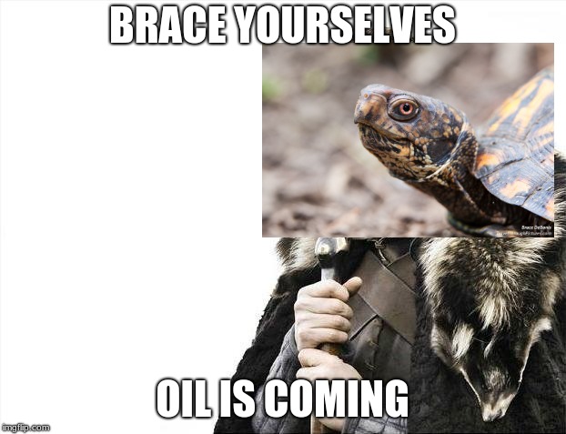 oil is coming | BRACE YOURSELVES; OIL IS COMING | image tagged in memes,brace yourselves x is coming | made w/ Imgflip meme maker