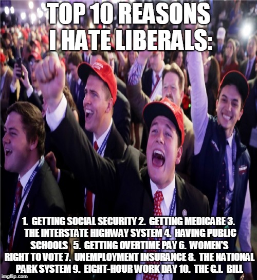 TOP 10 REASONS I HATE LIBERALS:; 1.  GETTING SOCIAL SECURITY
2.  GETTING MEDICARE
3.  THE INTERSTATE HIGHWAY SYSTEM
4.  HAVING PUBLIC SCHOOLS  
5.  GETTING OVERTIME PAY
6.  WOMEN'S RIGHT TO VOTE
7.  UNEMPLOYMENT INSURANCE
8.  THE NATIONAL PARK SYSTEM
9.  EIGHT-HOUR WORK DAY
10.  THE G.I.  BILL | made w/ Imgflip meme maker