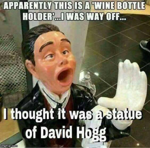 This actually makes more sense then he does. | image tagged in memes,david hogg | made w/ Imgflip meme maker