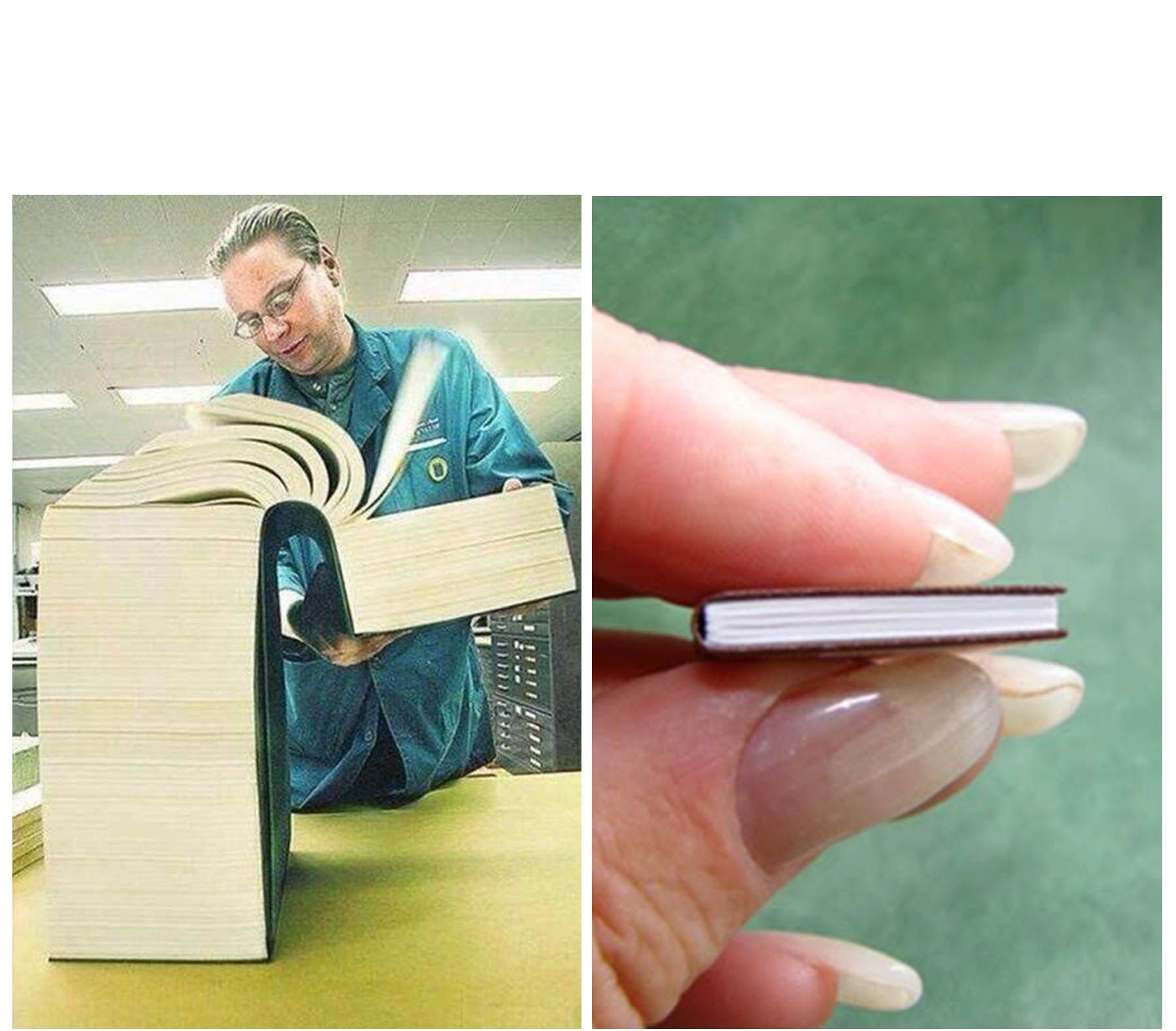 High Quality Big book Small book Blank Meme Template