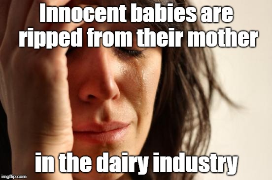 First World Problems Meme | Innocent babies are ripped from their mother; in the dairy industry | image tagged in memes,first world problems | made w/ Imgflip meme maker