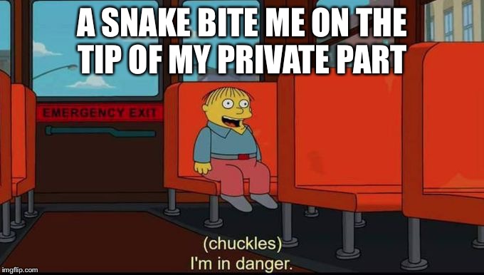 im in danger | A SNAKE BITE ME ON THE TIP OF MY PRIVATE PART | image tagged in im in danger | made w/ Imgflip meme maker