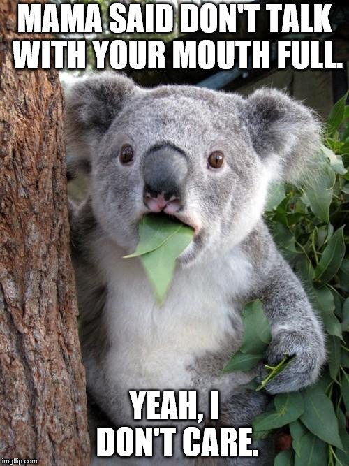 Surprised Koala | MAMA SAID DON'T TALK WITH YOUR MOUTH FULL. YEAH, I DON'T CARE. | image tagged in memes,surprised koala | made w/ Imgflip meme maker