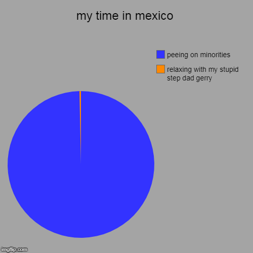 my time in mexico | relaxing with my stupid step dad gerry, peeing on minorities | image tagged in funny,pie charts | made w/ Imgflip chart maker