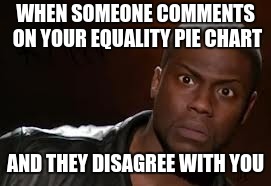 Look at my equality pie chart to get this | WHEN SOMEONE COMMENTS ON YOUR EQUALITY PIE CHART; AND THEY DISAGREE WITH YOU | image tagged in memes,kevin hart the hell,equality,what the hell | made w/ Imgflip meme maker