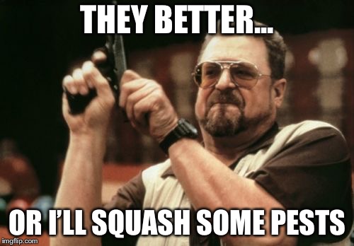 Am I The Only One Around Here Meme | THEY BETTER... OR I’LL SQUASH SOME PESTS | image tagged in memes,am i the only one around here | made w/ Imgflip meme maker