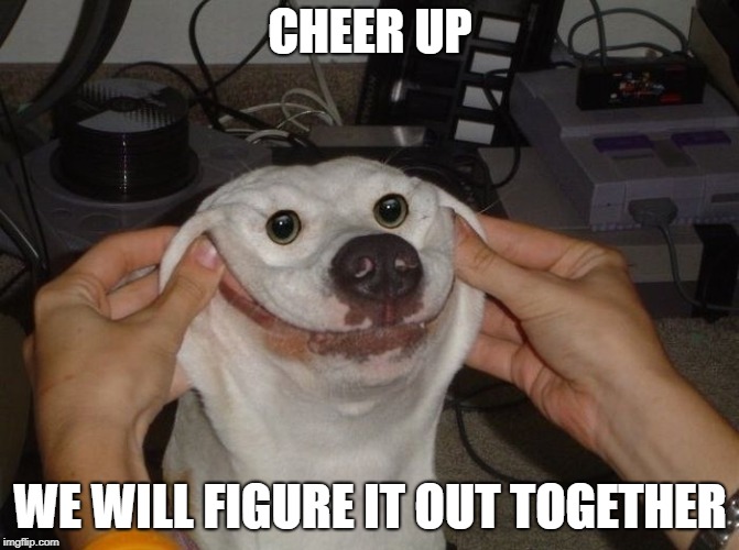 Forced To Smile Dog | CHEER UP; WE WILL FIGURE IT OUT TOGETHER | image tagged in forced to smile dog | made w/ Imgflip meme maker