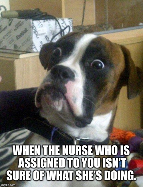 Blankie the Shocked Dog | WHEN THE NURSE WHO IS ASSIGNED TO YOU ISN’T SURE OF WHAT SHE’S DOING. | image tagged in blankie the shocked dog | made w/ Imgflip meme maker
