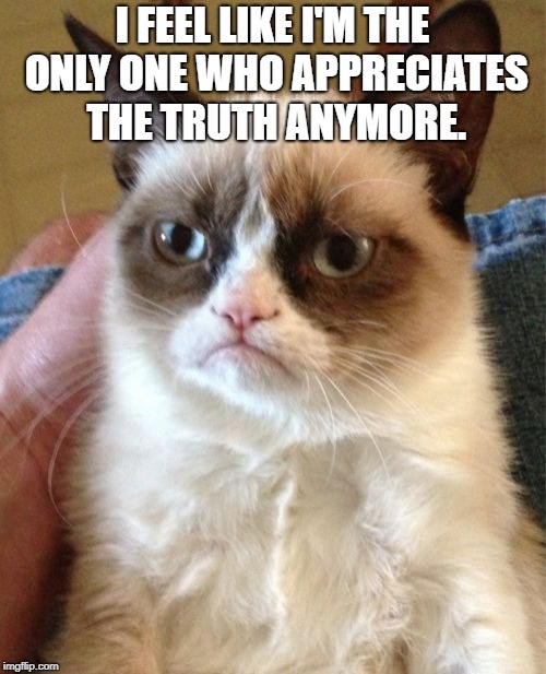 Grumpy Cat Meme | I FEEL LIKE I'M THE ONLY ONE WHO APPRECIATES THE TRUTH ANYMORE. | image tagged in memes,grumpy cat | made w/ Imgflip meme maker
