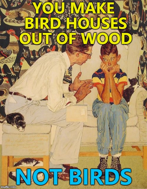 A second try - just for Douglie :) | YOU MAKE BIRD HOUSES OUT OF WOOD; NOT BIRDS | image tagged in memes,the probelm is,the problem is | made w/ Imgflip meme maker